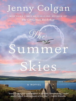 cover image of The Summer Skies